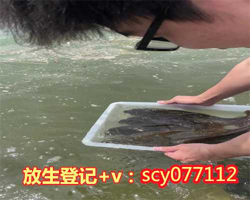 北京放生的鱼从哪里买到，地道北京芝麻烧饼的做法