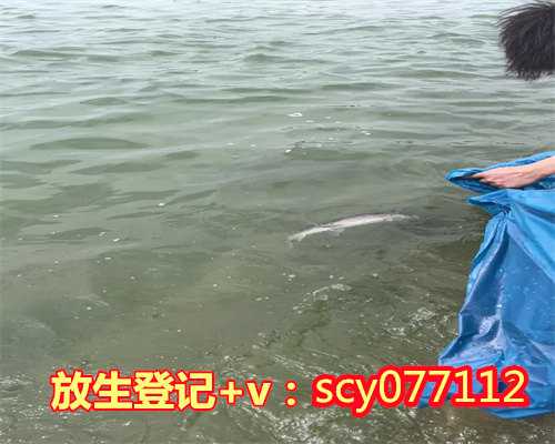 昆明黑鱼去哪里放生，杭州灵隐寺举行放生活动为昆明暴恐事件伤亡同胞祈福