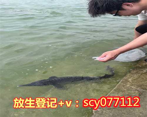 放生什么动物好活，河北省将举行首届水生生物放流放生公益活动