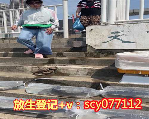 青海哪里适合放生蛤蟆，青海省人民政府公布34处文物保护单位保护范围和建设