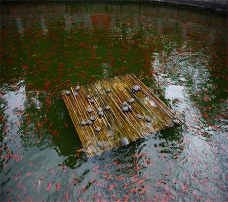 蓟县可以放生鱼的寺庙 第二种最简单最有效的净土宗放生仪轨: